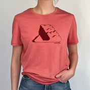 Person wearing a Janus merino pink t-shirt with a graphic design on a plain background