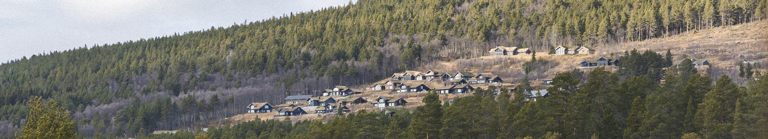 A collection of wooden cabins with sod roofs nestled into a hillside covered in evergreen trees.