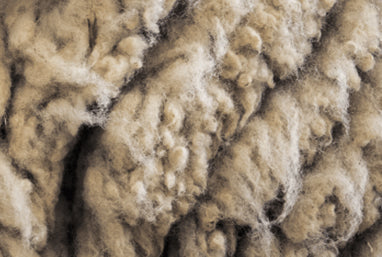 Close-up wool texture